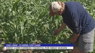 Sweet corn famers thankful for great season