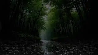 Heavy Rain in the Forest at Night | Calm Nature Sounds #rainforrest #relaxingrain
