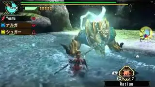 [Seolla] - Monster Hunter Tri - NOPE Jinouga