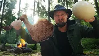 Сколько яиц нужно для такого огромного омлета с олениной? 😵🥚