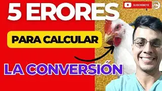 🧐 5 ERRORES QUE AFECTAN EL CALCULO DE LA CONVERSI&Oacute;N ALIMENTICIA EN LOS POLLOS DE ENGORDE 🤯