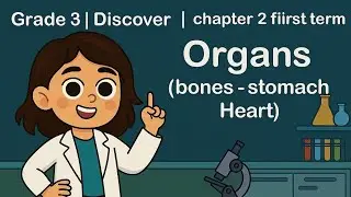 |Discover | | Grade 3| |first term | |Organs|Digestive system, Bones, Heart 