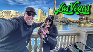 VEGAS VACATION DAY 1! 🙌Lunar New Year Display 2026, Sightseeing on the Strip & More!  