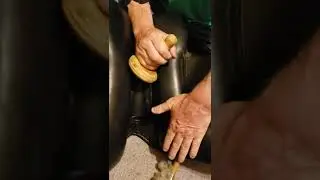 Video#2 Saddle flocking adjusted to help horse's back