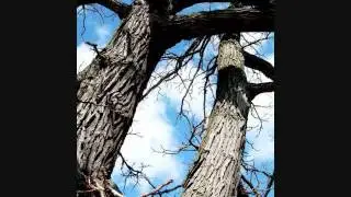 The Climb I'd Make-Paul Larson Original