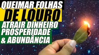 QUEIME FOLHAS DE LOURO NA SUA CASA OU NEGOCIO E VOCÊ SE SURPREENDERÁ COM OS RESULTADOS
