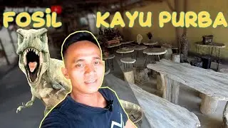 Furniture Unik dari FOsil Kayu purba
