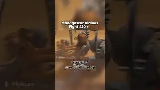 Madagascar Airlines Flight 420 🇲🇬✈️🕊️ #aviation #memes #kawasaki