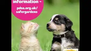 Spring Plants Harmful To Pets