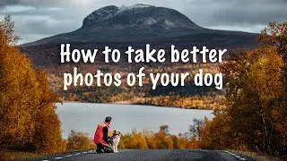 SIX HACKS to take BETTER PHOTOS of your dog | Tutorial | Pet photography |