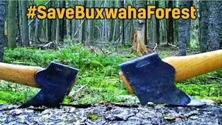 2 lakh trees to be cut in Buxwaha forest for Diamonds | #SaveBuxwahaForest