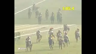 Delhi Race No 4 The Bee's Prospector Plate / win - SENOR / Jockey - S G Prasad/ #horse 2026