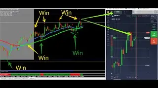 Download Daily Price Action 100% Profitable 5m Binary Indicator Pack | Download Link IN Description