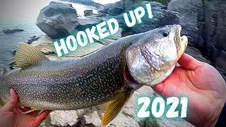 Fishing Flathead Lake for LAKE TROUT with DEAD BAIT (Shore Fishing!)
