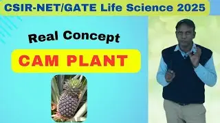CAM Plant l Crassulacean  acid metabolism l Photo synthesis l CSIR-NET l GATE life Science 2025