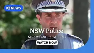 Police say Merrylands stabbings appear to have been random attack | ABC NEWS