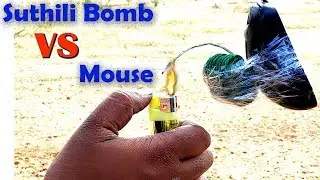 Sutli bomb vs mouse | Sutili Bomb Experiments | science experiments with Crackers