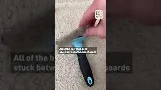 A deep clean for your dog's favourite spot in the house