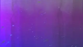 SUNKEY ACID TECHNO - Tastetime