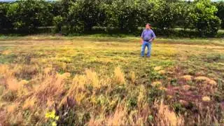 PREVIEW The Race to Save Citrus