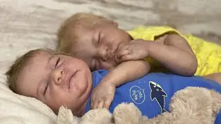 💙 72 HORAS con mis Bebés Reborn  VLOG de Acampada con Dito y Lulo.  Levi de Bonnie Brown