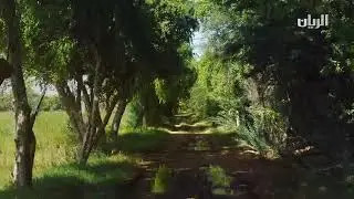 Explore FBQ Museum, Al Samriya Riding School, the Oryx and Nature Reserves &ndash; by Al Rayyan TV Qatar