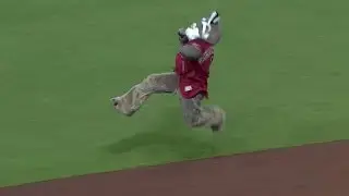 LAD@ARI: Baxter wins the Legends Race on his birthday