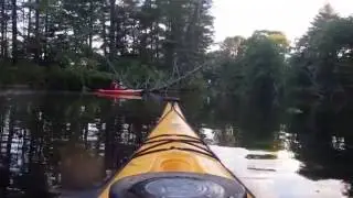 Dog Day Evening Paddle with AMC - kayaking the Suncook River in Barnstead NH