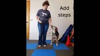 Loose Leash Walking part 4: Taking the First Step