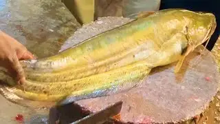 Live Excellent Wallago attu Boal Fish Cutting In Bangladesh Market | Amazing Fish Cutting Skills