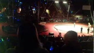 Shrine Circus camel part 2015