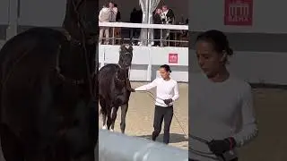 Показ традиционного украшения ахалтекинских лошадей.