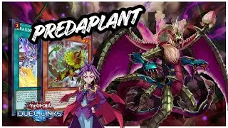 PREDAPLANT BRANDED FUSION DECK DUEL LINKS | RANKED GAMEPLAY & COMBO GUIDE