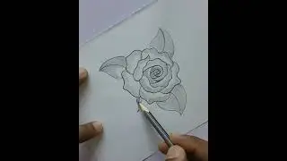 how to darw roseflowers# 3Drose#সহজে গোলাপ ফুল আঁট করুন,,