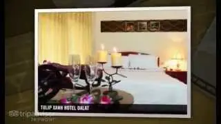 Hotel in Dalat City, Tulip Xanh Hotel, The best budget hotel in Dalat