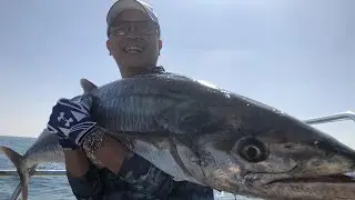 【Bear & Cat 】Dec. 2018 Big game Fishing in Taiwan (Short Flim)┃Pro Anglers Fishing Show Part 11