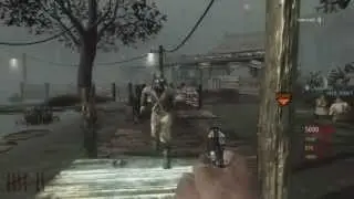 Black Ops: All Working Glitches: Shi No Numa + Voice Tutorials