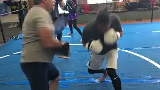 working striking, JKD,KALI,MMA