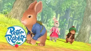 Peter Rabbit - Find Somewhere to Hide | Summer Adventures | Cartoons for Kids