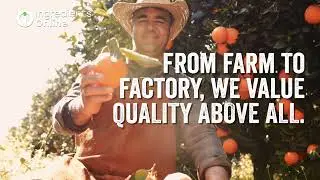 Take A Journey with Ingredients Online