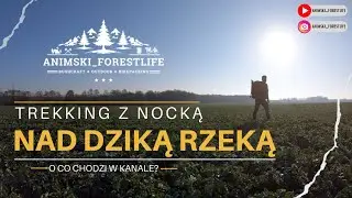 Trekking z nocką nad dziką rzeką! #outdoor #bushcraft #forestlife