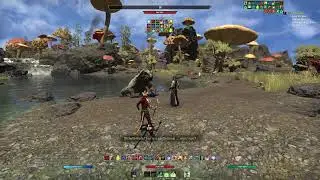 Telvanni Peninsula: RDS - Wamasu Studies