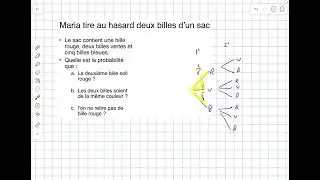 AI NM Probabilité 1