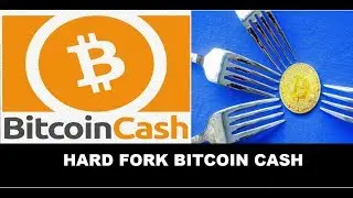 Todo sobre el HARD FORK de BITCOIN CASH BCH Espa&ntilde;ol 2018