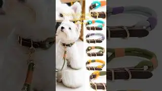 Dog collars leashes set wholesale #petproducts #dogcollar #dogleash #dogaccessories #wholesale #oem