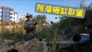 今天运气太好了，路边捡了两窝奇葩蜜足足30斤，真是发财的节奏！ #我的乡村生活