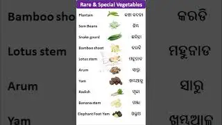 Useful Vegetable Names in English and Odia | Spoken English | #viralshorts #shorts #vegetables