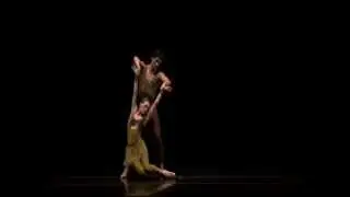 Within The Golden Hour |  PDD excerpt (Van Patten & Vilanoba)