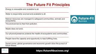 An Introduction to the Future Fit Business Benchmark