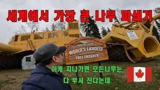[Canada] The World's Largest Tree Crusher! Every tree in its path is crushed and crushed!